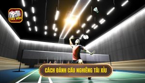 cách đánh cầu nghiêng tài xỉu