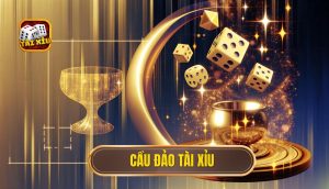 cầu đảo tài xỉu