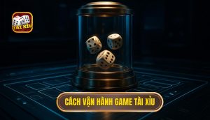 cách vận hành game tài xỉu