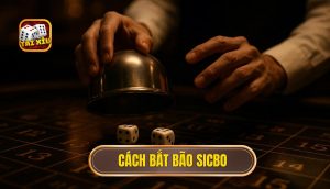 cách bắt bão sicbo