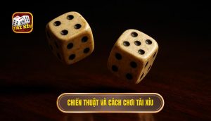 chiến thuật và cách chơi tài xỉu